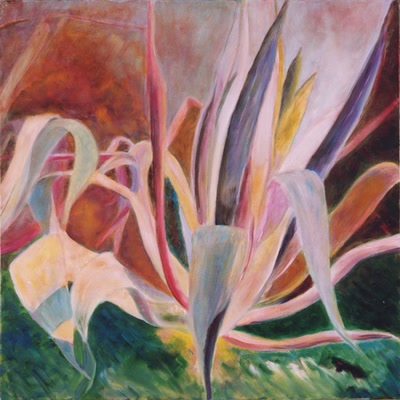 Résultat de recherche: agaves sous l'orage