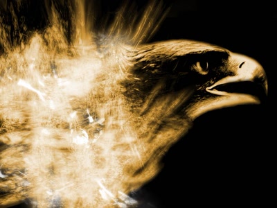 Œuvre de BENZIN: Aigle