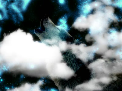 Œuvre de BENZIN: Loup et nuages