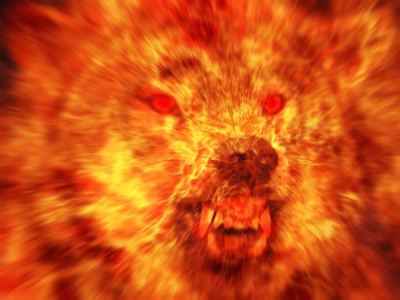 Œuvre de BENZIN: Loup en feu