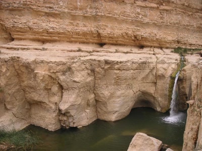 Œuvre de rosa: Sud Tunisien