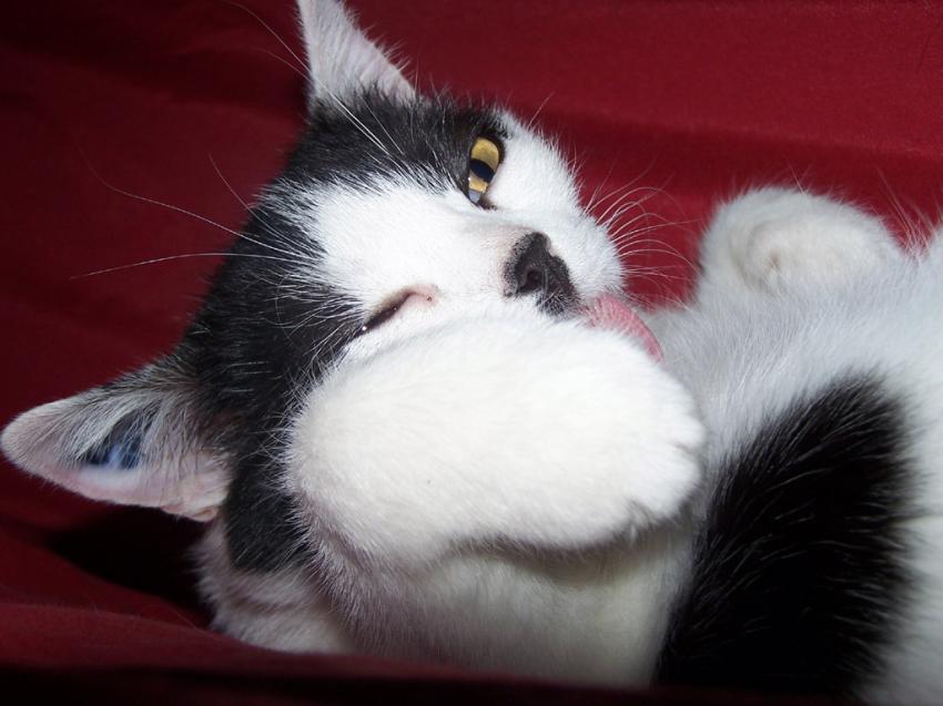 moment de propreté !