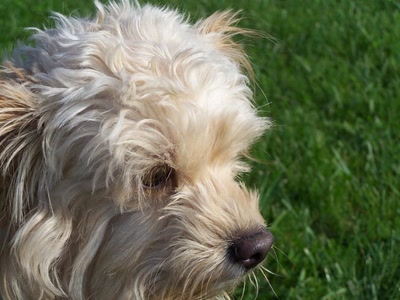 Œuvre de graphia: Speech