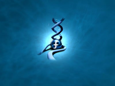 Œuvre de hamdi: Fedora