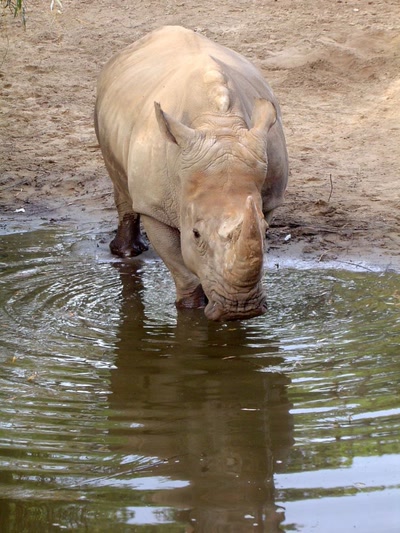 Œuvre de Gaetup: Fais chaud