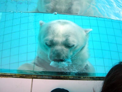 Résultat de recherche: La bulle