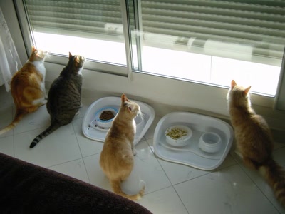 Œuvre de reivax58: un ange passe