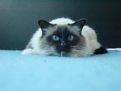 Œuvre de reivax58: t'as de beaux yeux tu sais!