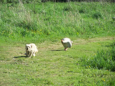 Résultat de recherche: La course