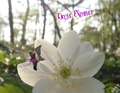 Résultat de recherche: Fairy Kitch