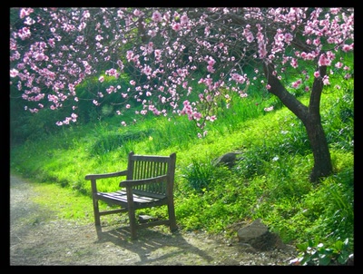 Résultat de recherche: Jardin de Vintimille (Italie)