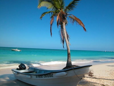 Résultat de recherche: le top du bleu