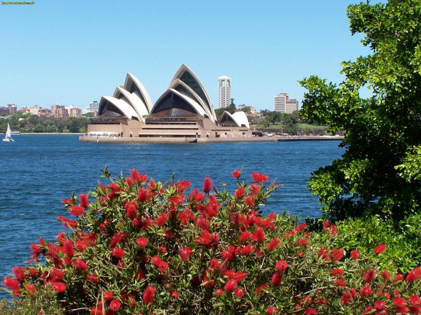 L'opéra de Sydney