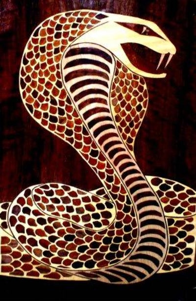 Résultat de recherche: royal cobra