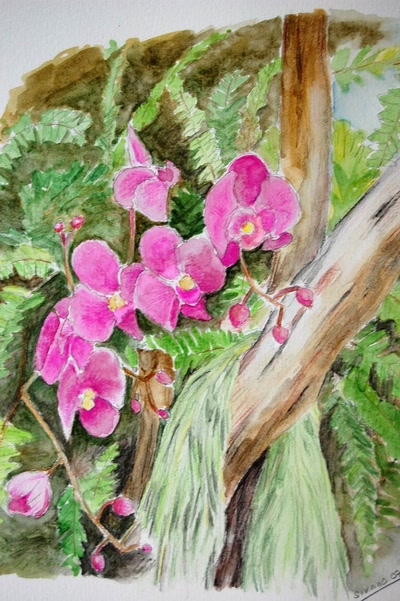 Résultat de recherche: orchidée parc floral de vendée