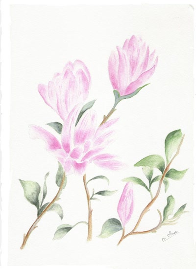 Résultat de recherche: les magnolias