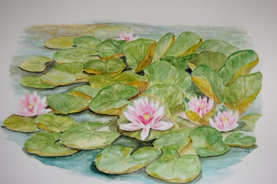 Résultat de recherche: nénuphars en vendée