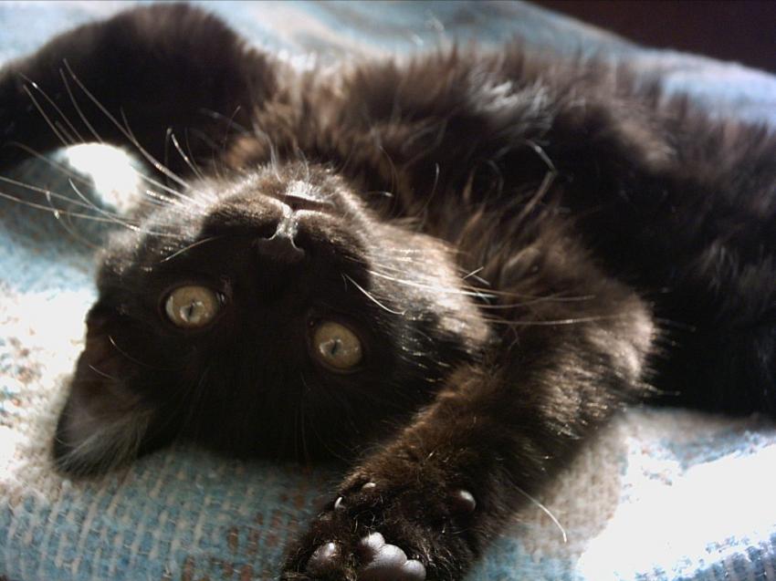 ah!!!!!!! je m'étire