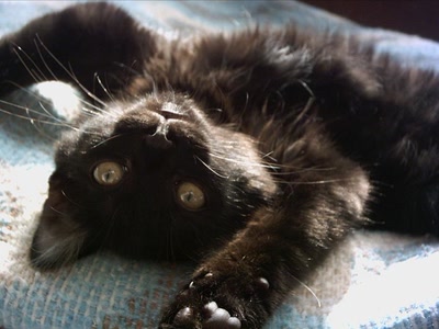 Œuvre de graphia: ah!!!!!!! je m'étire