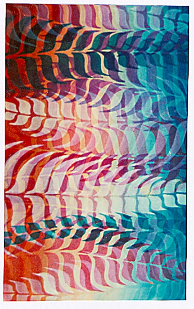 Résultat de recherche: fougères en rêve