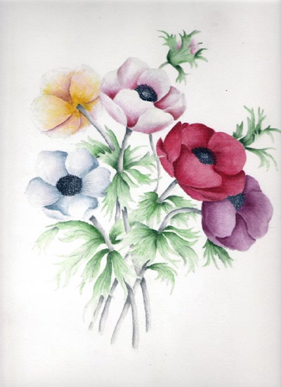 Résultat de recherche: LES ANEMONES