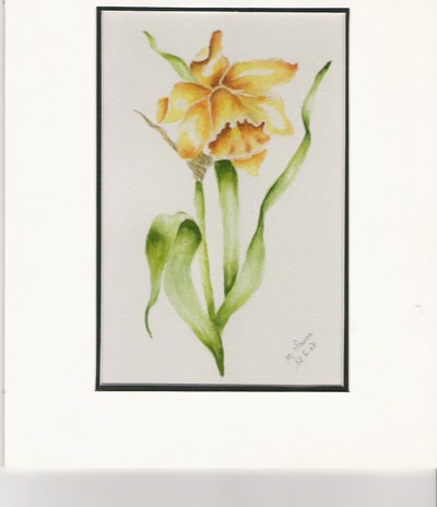 Résultat de recherche: JONQUILLE