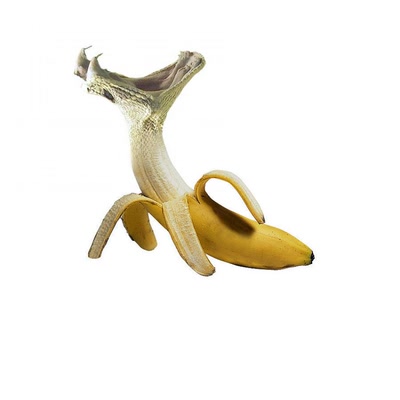 Résultat de recherche: Serpane