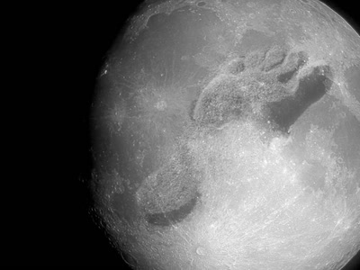 Résultat de recherche: MoonFoot