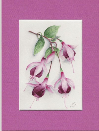 Résultat de recherche: FUSIAS