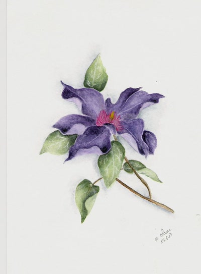 Résultat de recherche: CLEMATITE