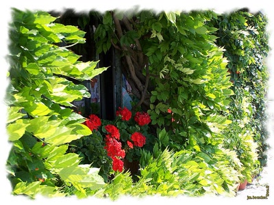 Œuvre de jmboucher: Devanture