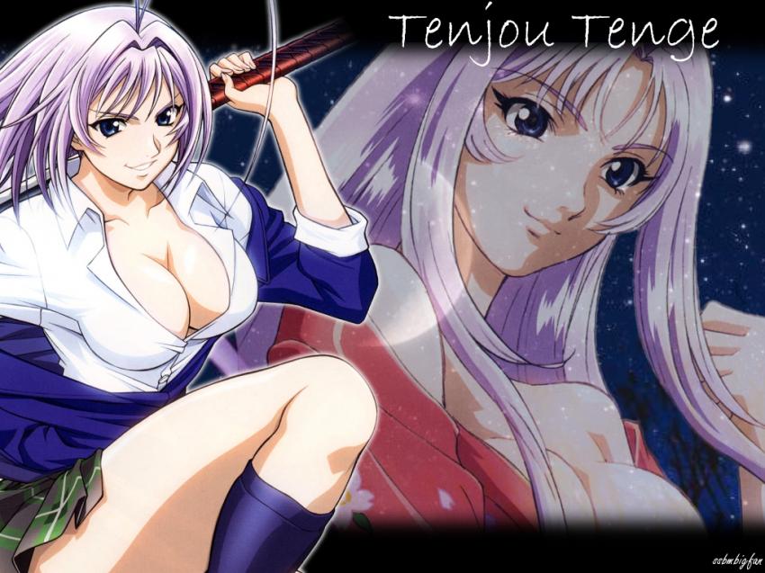 Tenjô Tenge