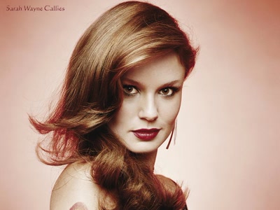 Œuvre de haley15: Sarah Wayne Callies