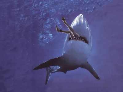 Résultat de recherche: Les Dons de la mer