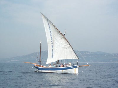 Résultat de recherche: latine