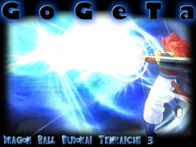 Œuvre de T.I.G.E.R: DBZ Budokai Tenkaichi 3