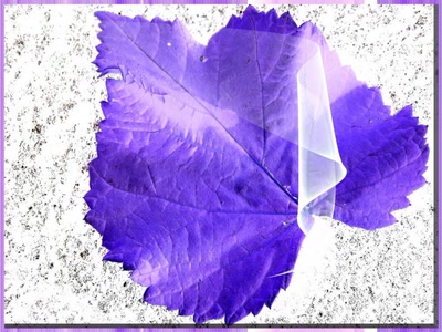 Résultat de recherche: Feuille