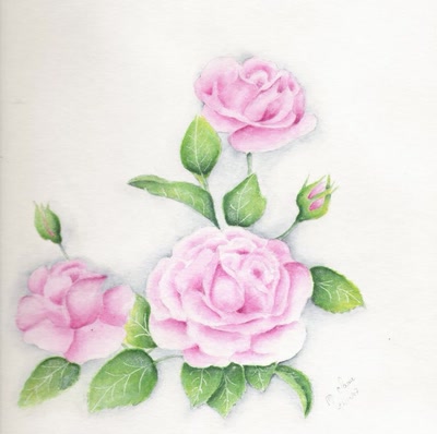 Résultat de recherche: ROSES