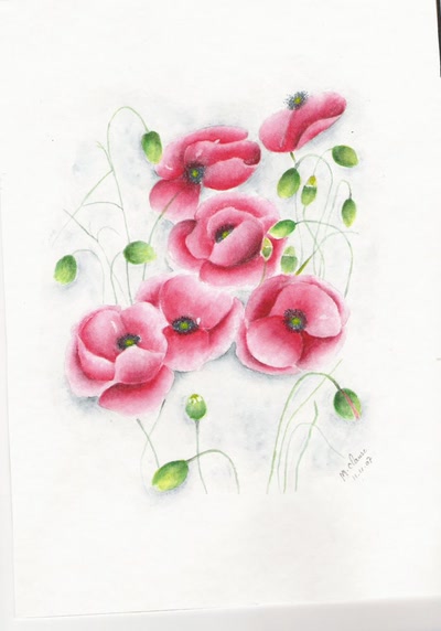 Résultat de recherche: les coquelicots