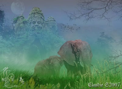 Œuvre de VENDETA: elephants