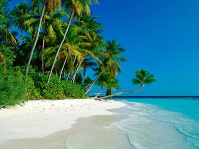 Œuvre de maldini: paradi