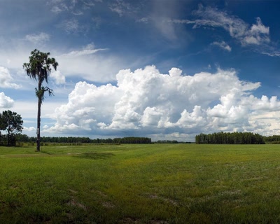 Œuvre de maldini: champ