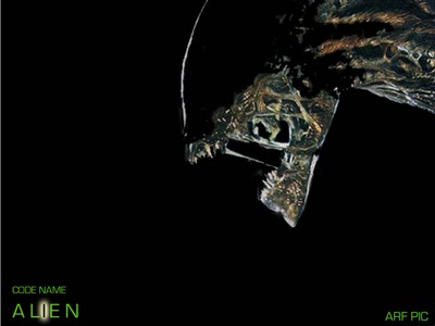 Œuvre de ARF.P.I.C: alien