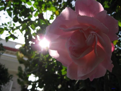 Œuvre de maldini: my house1