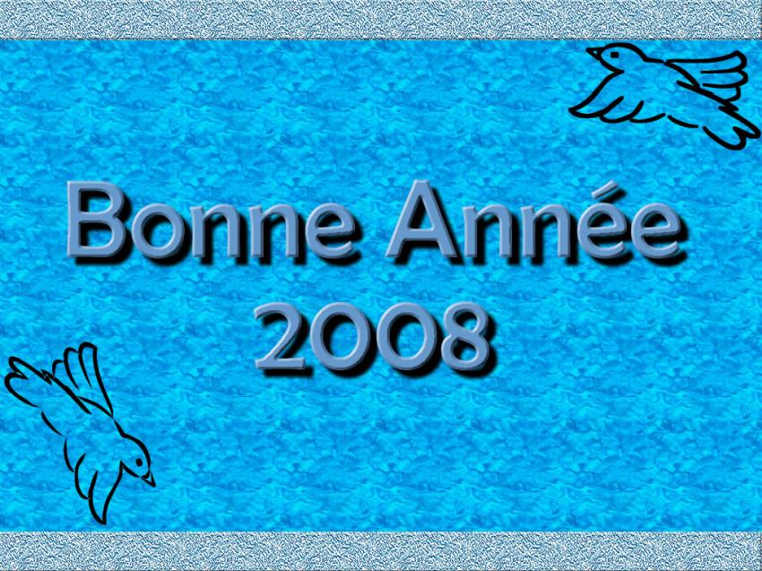 Année 2008