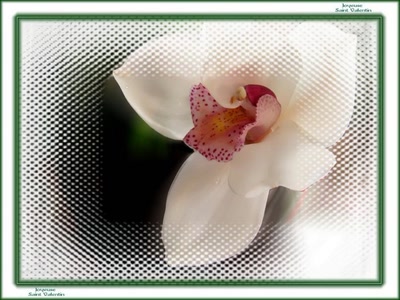 Résultat de recherche: Cart de voeux