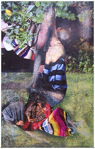 Résultat de recherche: la pomme est tombée cette nuit