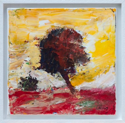 Résultat de recherche: LE PRUNUS