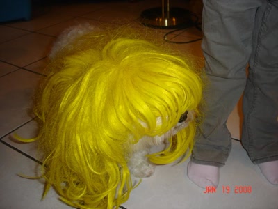 Œuvre de marie: POLUX