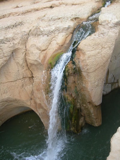 Résultat de recherche: Tamerza